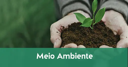 Meio Ambiente