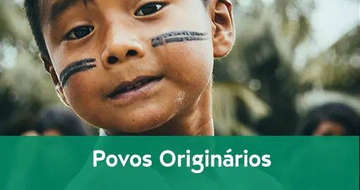 Povos Originários